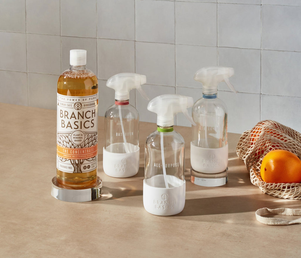 Cleaning Essentials Kit