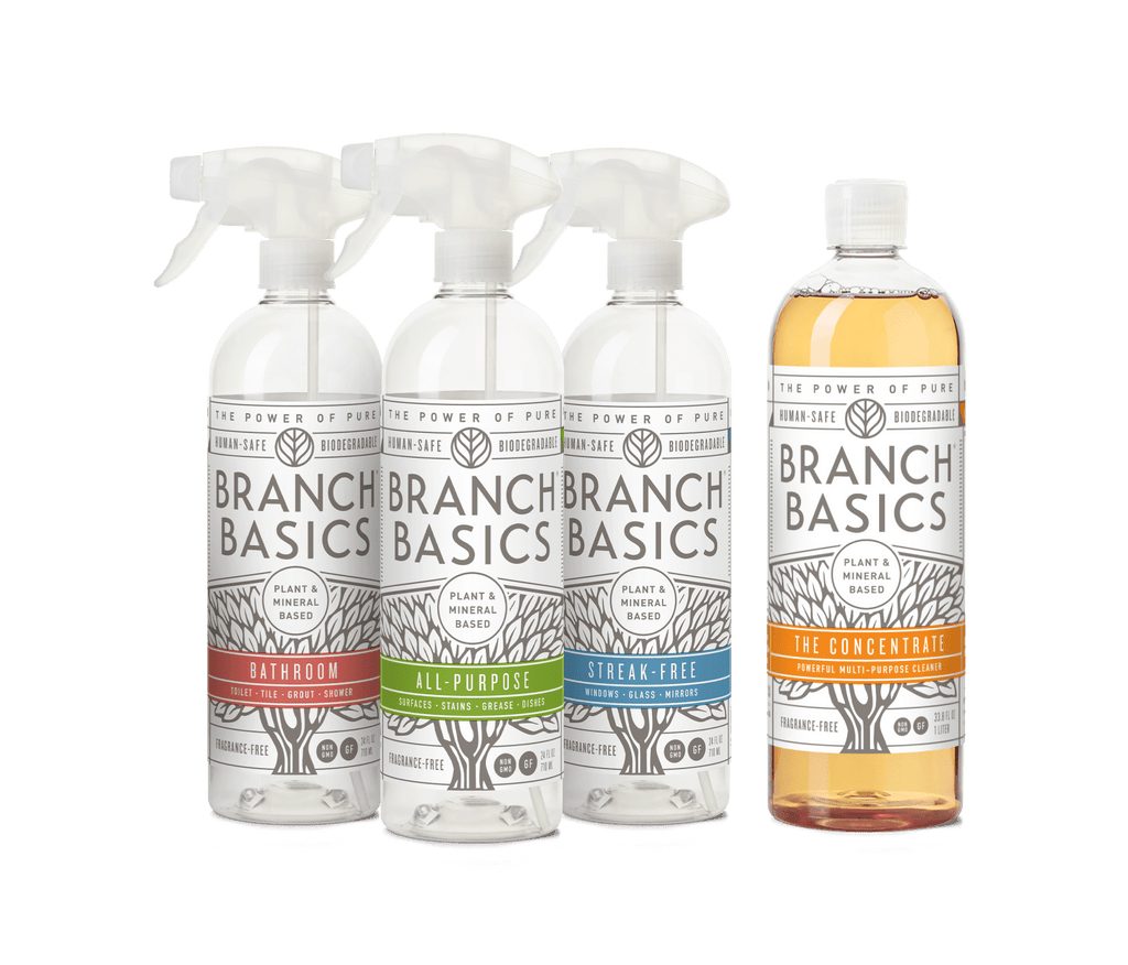 Cleaning Essentials Kit